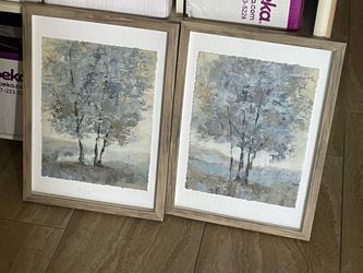Set of 2 framed prints - never hung