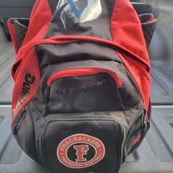 Demarini Voodoo Bat Bag