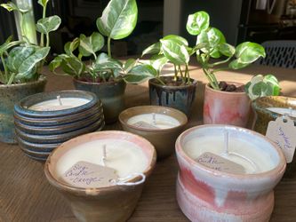 Home Decor Handmade Small Batch Soy Candles and Plants