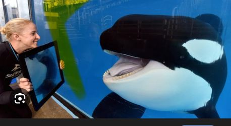 Seaworld