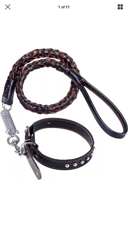 Leather Dog Lash and Collar heavy duty