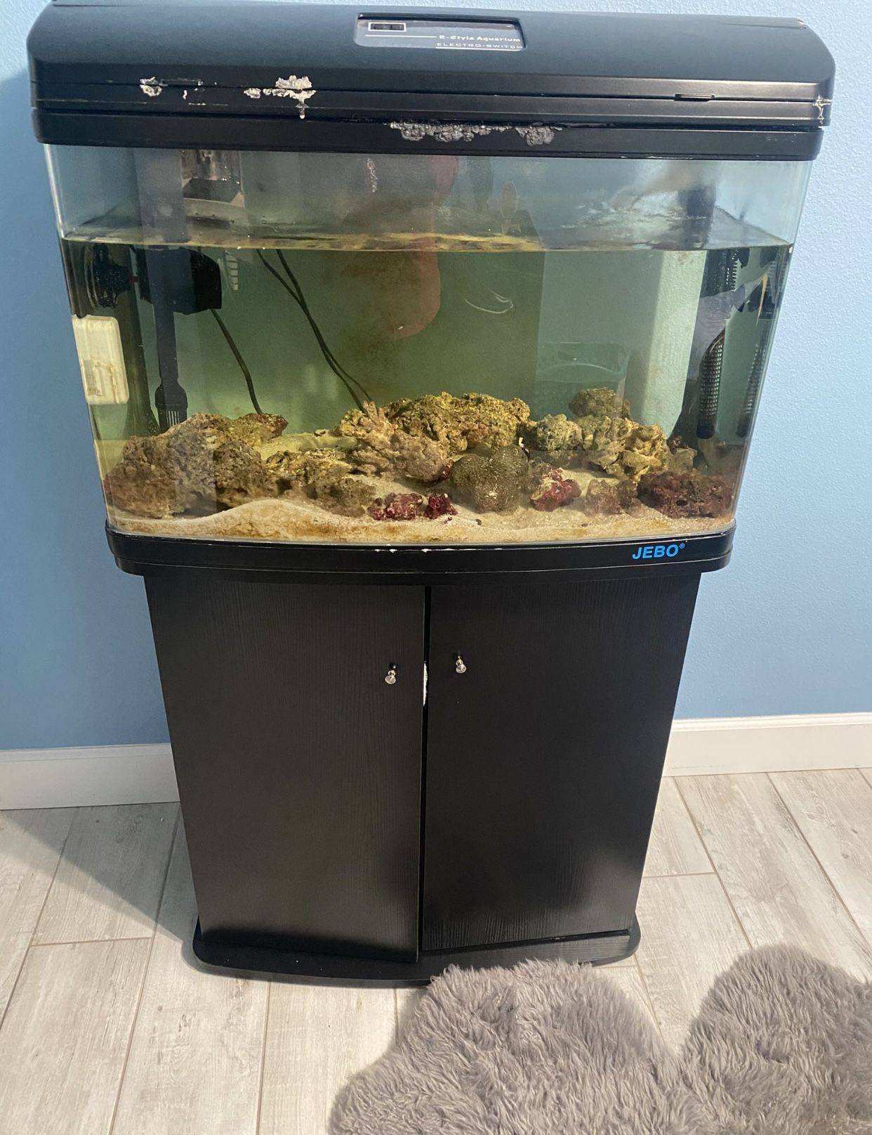 Fish Tank 