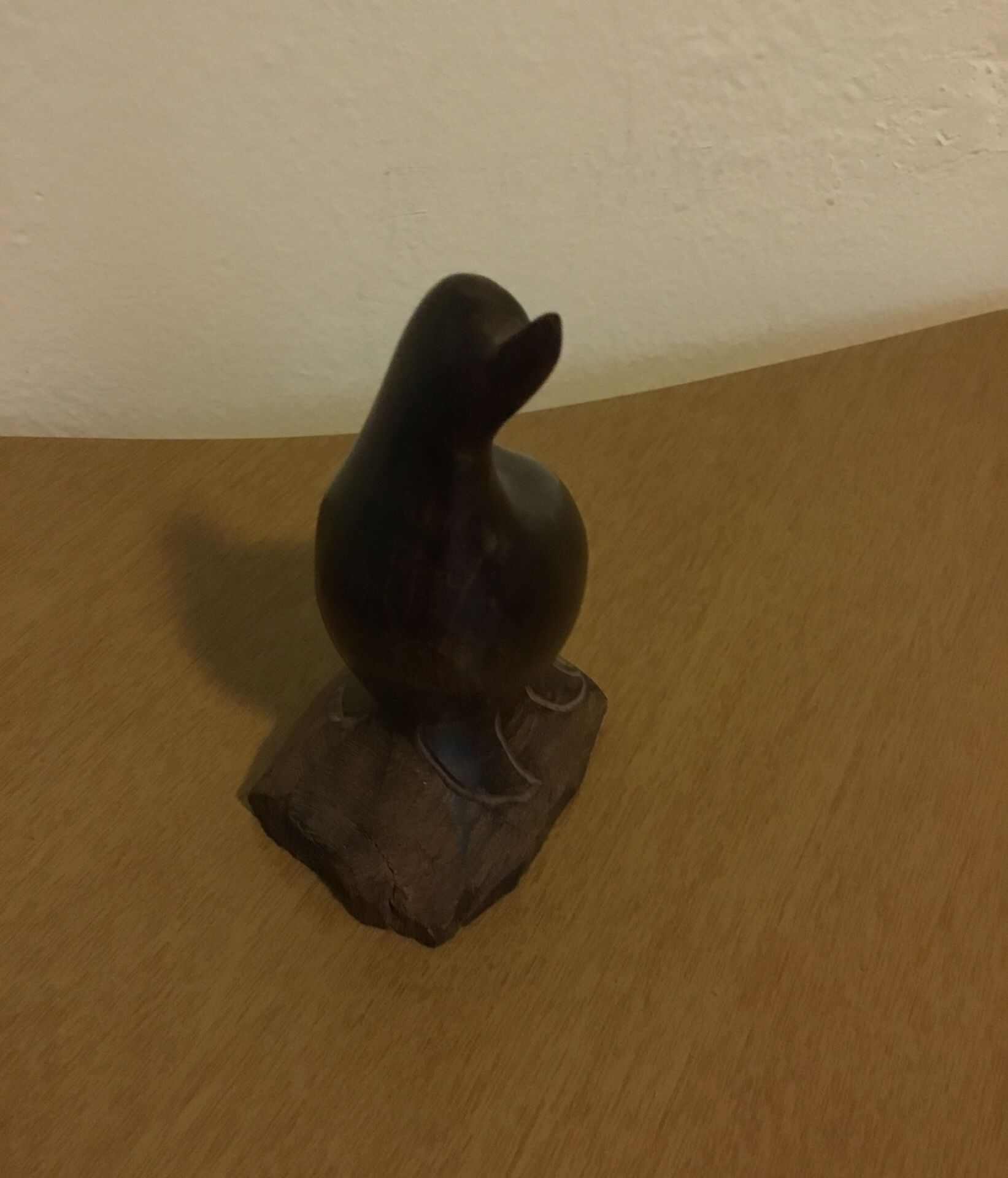 Photo Small sea lion