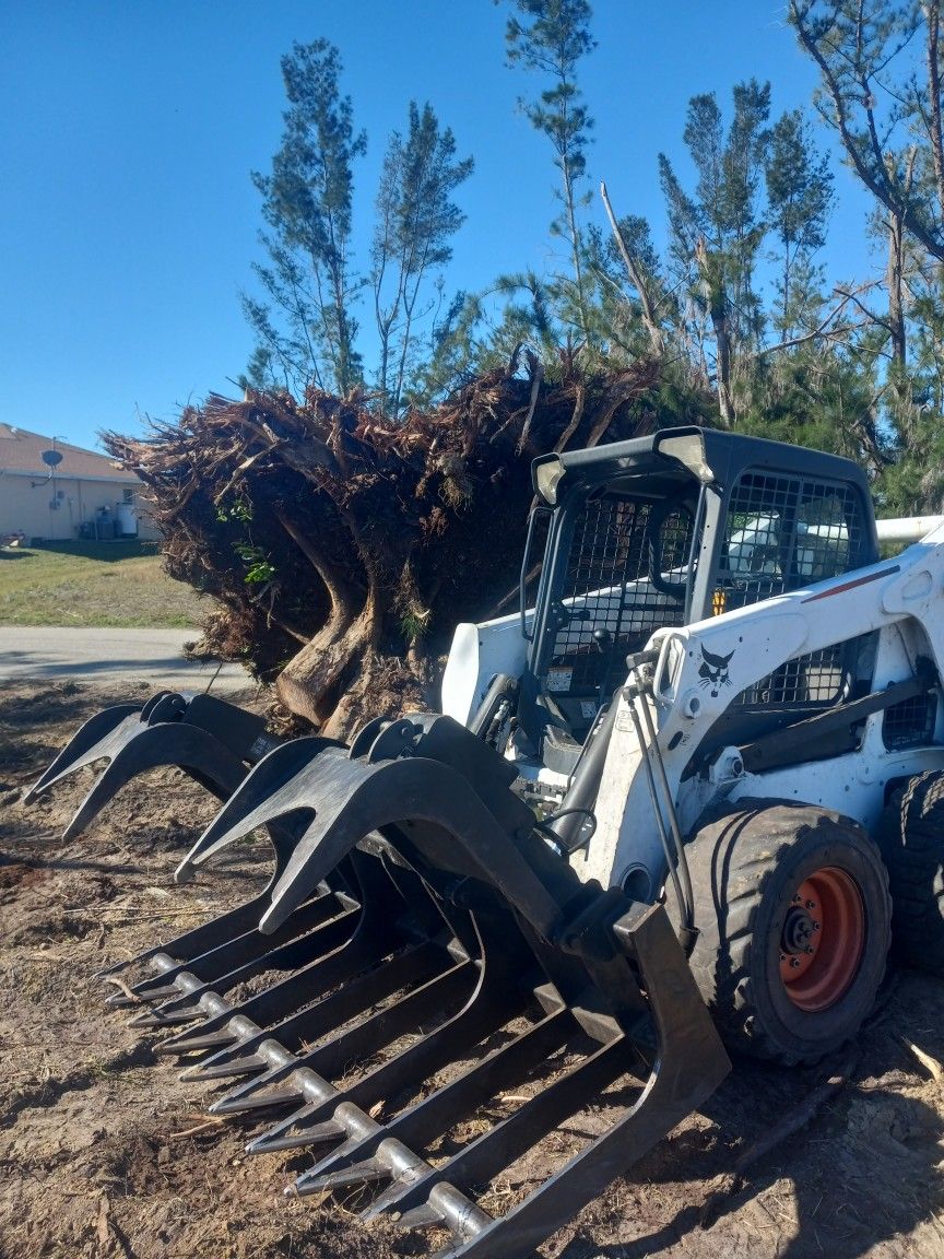 Root Grapple For Sale 84 in