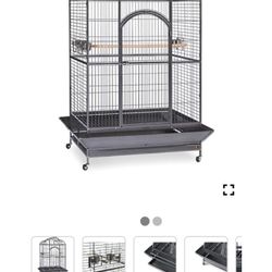 Bird Cage 
