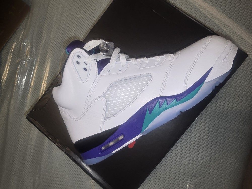 Jordan 5 Grape 2025 Size 10.5