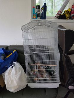 Bird cages and lots of extra