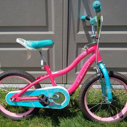 Junior Bike