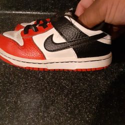 Nike Dunks Toddler 9c Good Condition 