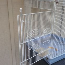 Bird Cage