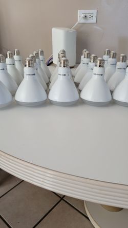 Ecosmart Light bulbs