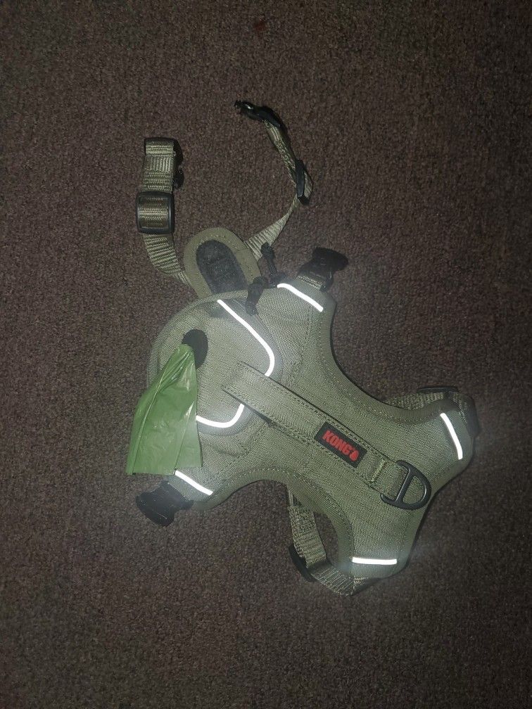 Kong Leash And Harness For Medium Dog