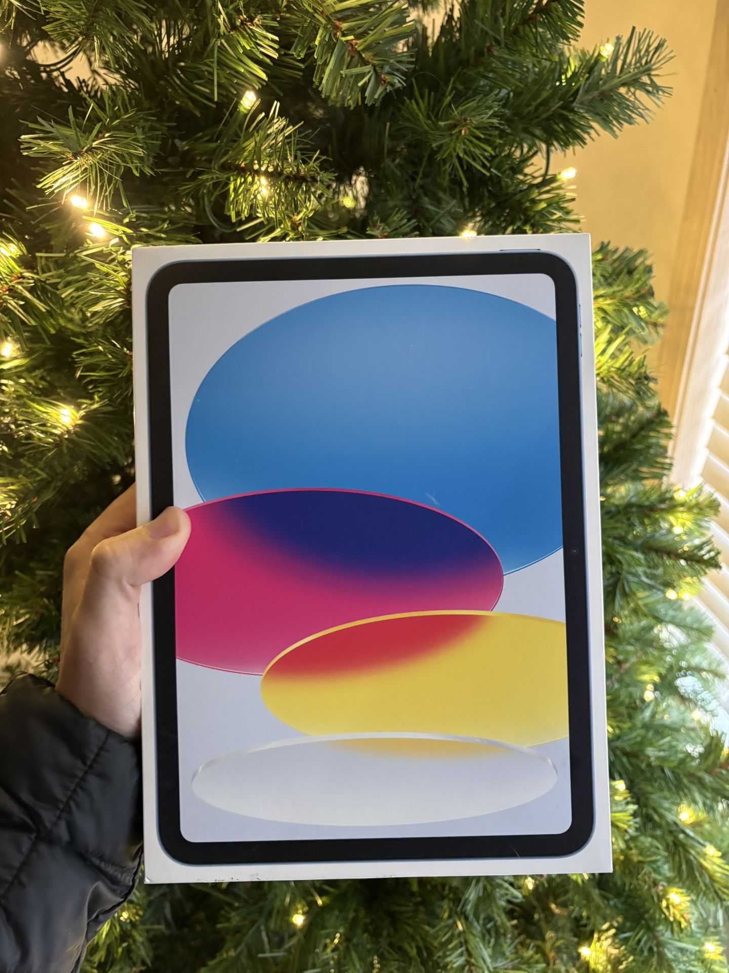 Apple iPad 10th Generation NIB never Opened 2 Year Warranty 