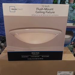 12 Inch Flush-Mount Ceiling Fixture