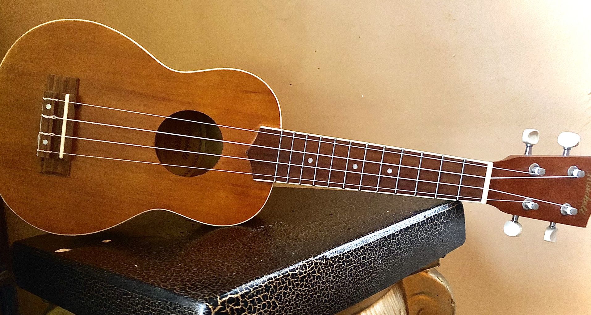 Mitchell MU40NT Concert Ukulele 21" Designed in USA Made in Indonesia