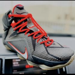 Nike Lebron 12 Court Vision Size 11