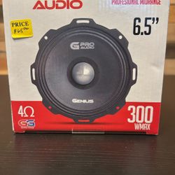 Genius Audio Profesional Midrange 