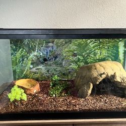 Pet Enclosure 