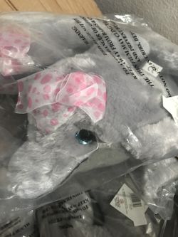 New Petting zoo Lashz