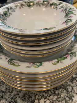 Beautiful Flower Plate Set 12 Pieces