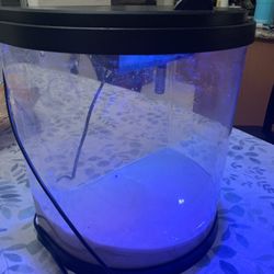 3.5 Gallon Aquarium With Working Filter And Led Lights 