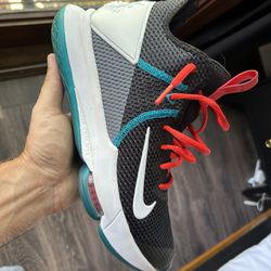 Nike Lebron Basketball Shoes