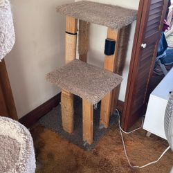 Cat Tower