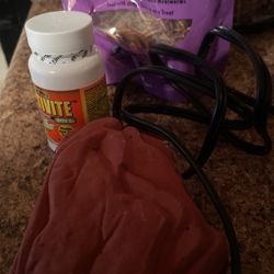 Supplies For Small Lizard 