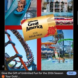 Two virtual great america tickets 45 dollars for two great price