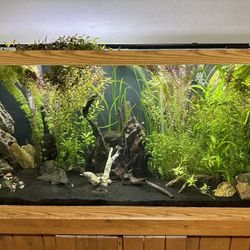 150 Gallon Tank 