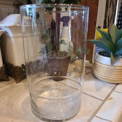 Everyday Glass Vase