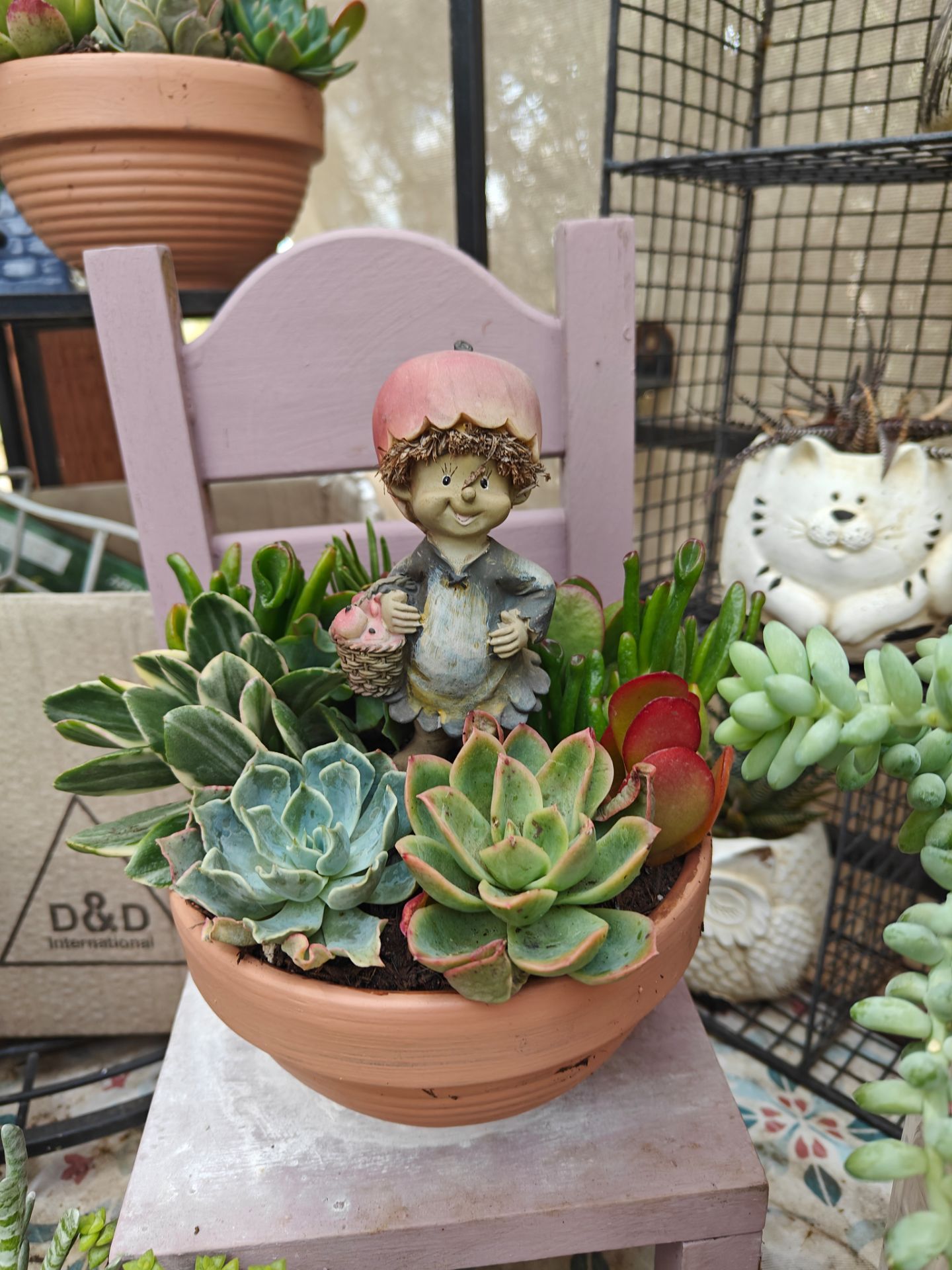 Cute Succulents Arrangements