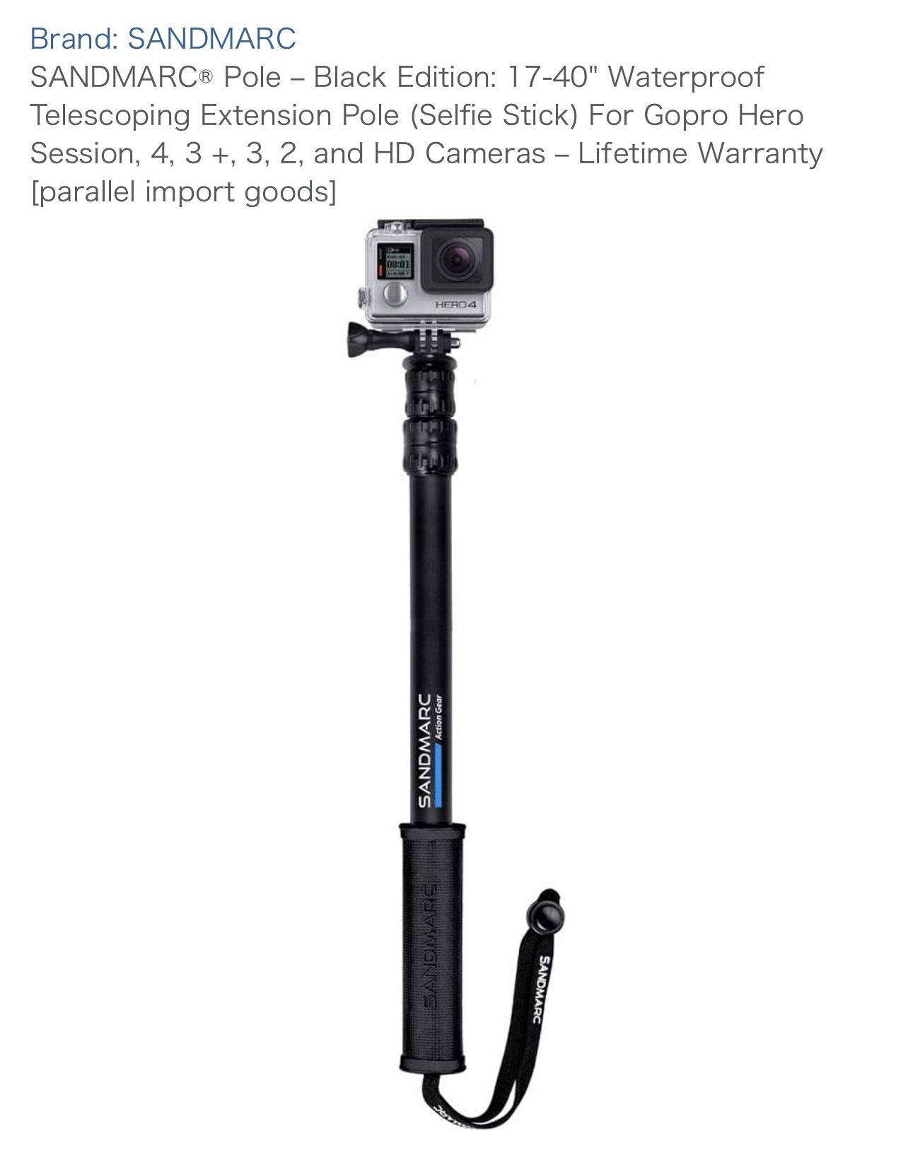 GoPro Selfie Stick