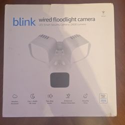 Wired Floodlight Camera