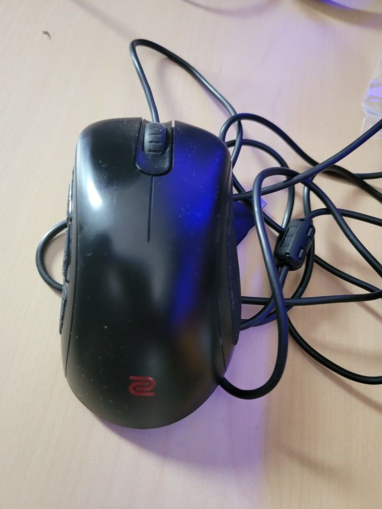 Zowie Ec1 Gaming Mouse