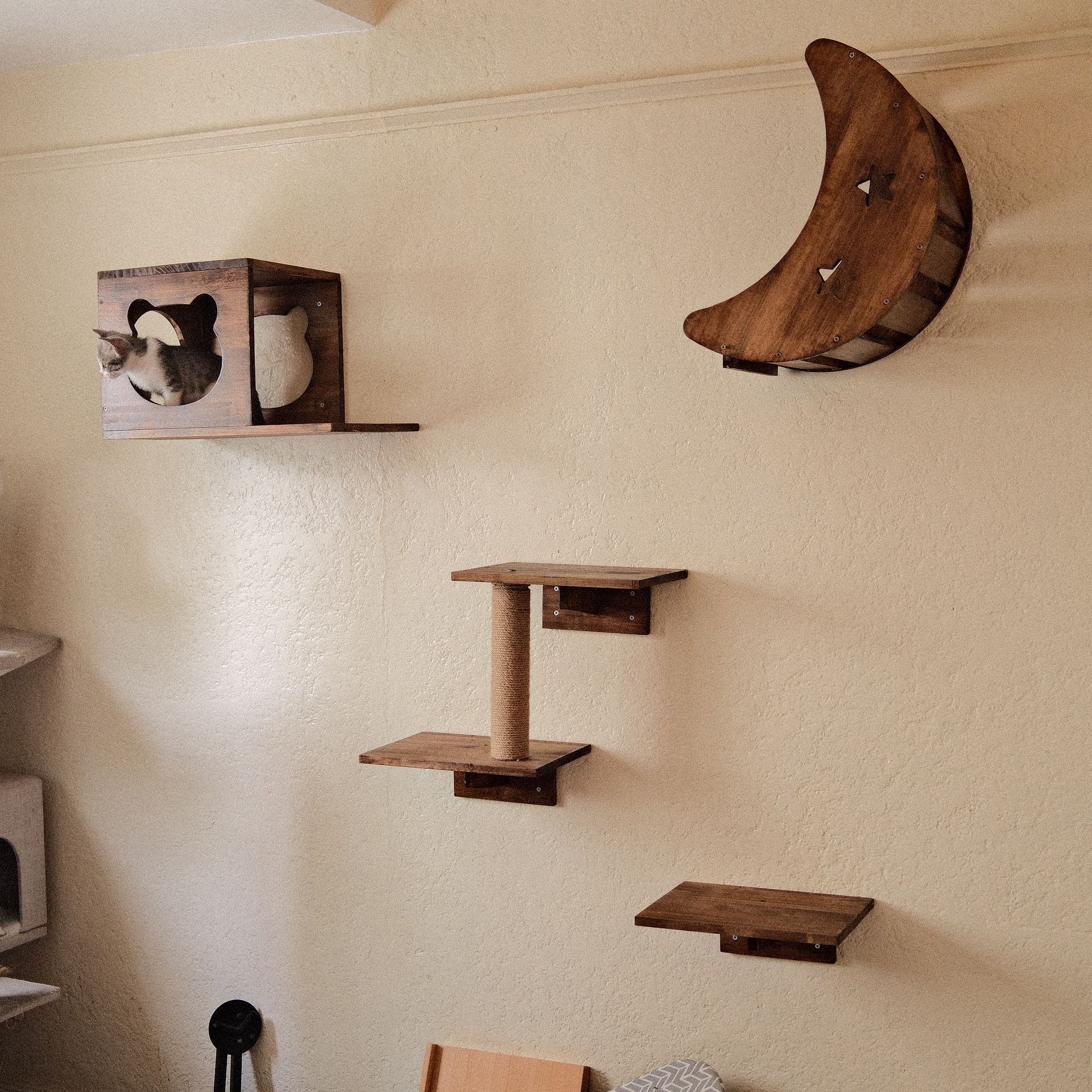 4-Piece Cat Wall