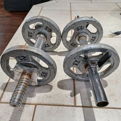 2.5 lb weight plates set of  2