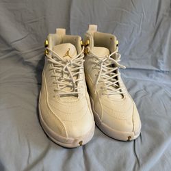 OVO x Air Jordan 12 Retro