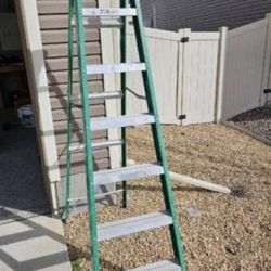 8 Foot Davidson Ladder