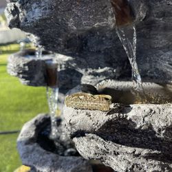 Gold Two Finger Ring 