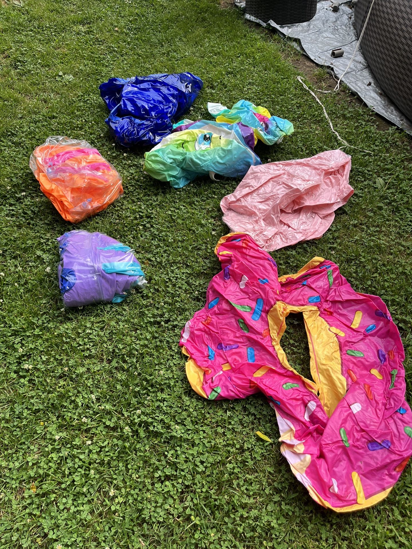 Pool Floats