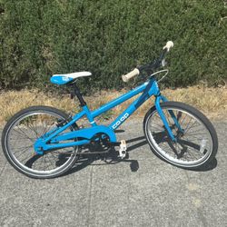 REI COOP BIKE REV 20 (20”)