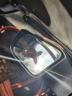 Driver Side Mirror