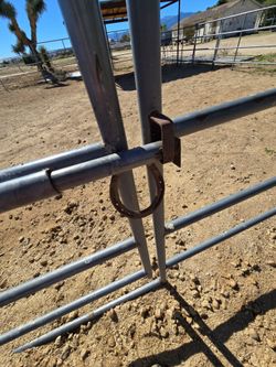 Horse panels,