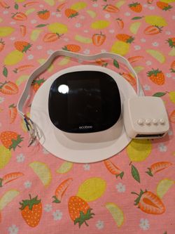 Ecobee Thermostat
