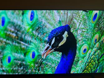 LG OLED C2 42 inches