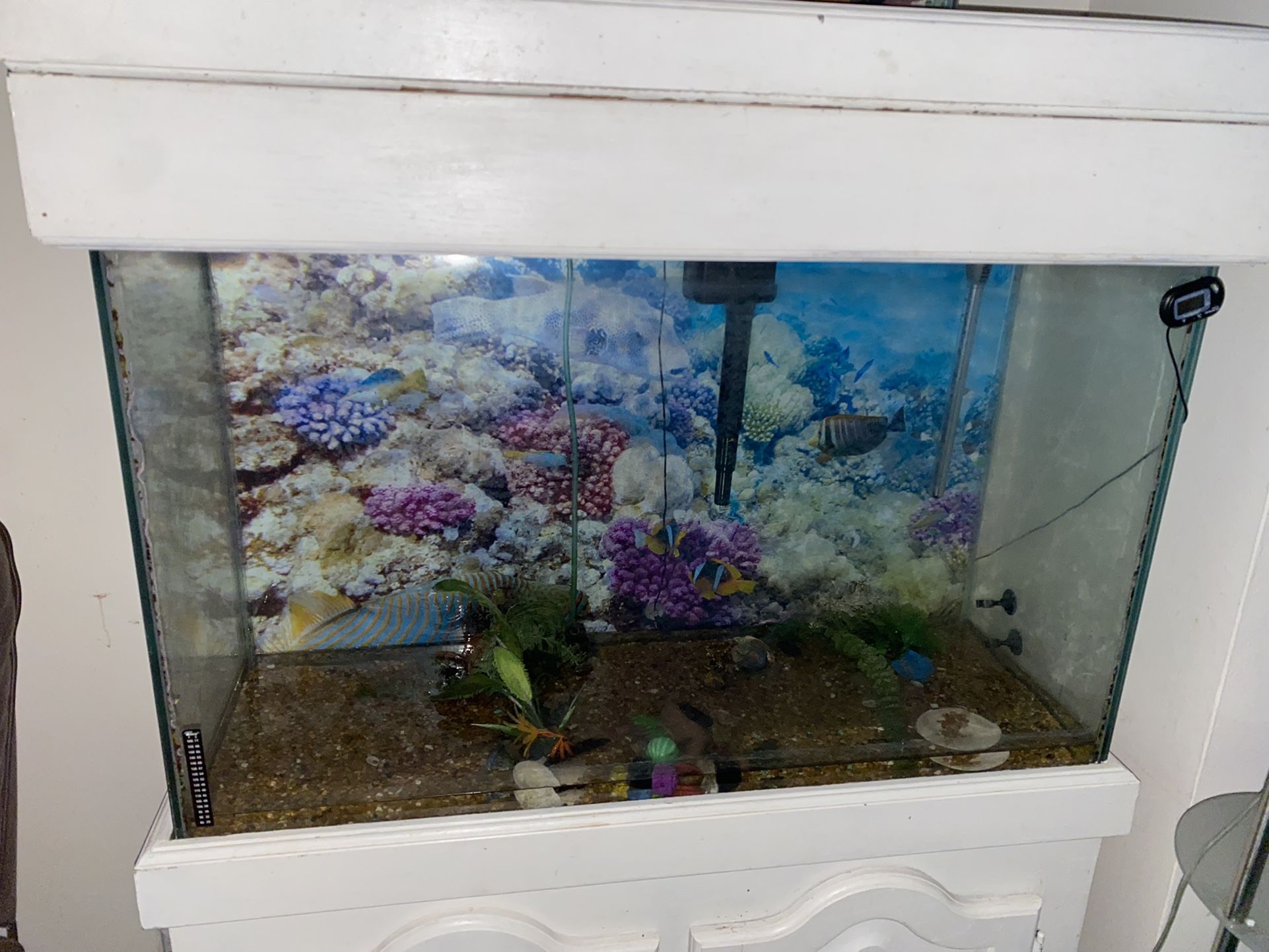  Fish Tank-aquarium-55 Gal.with canopy