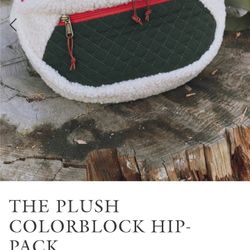 The Plush Colorblock Hip- Bag