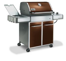 Weber GENESIS
A Steal At $175 Propane
