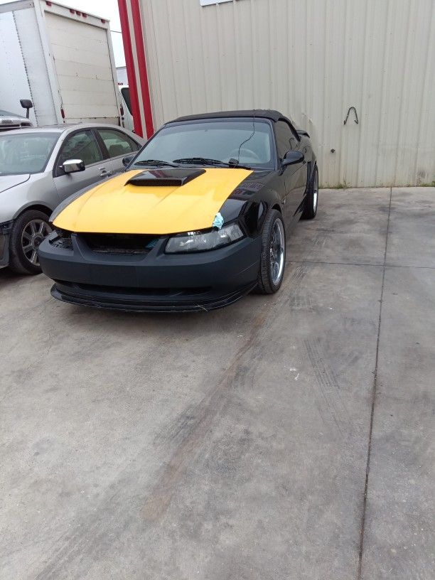 For Sale